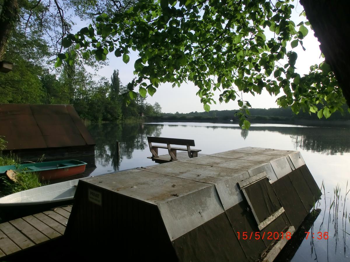 Ferienwohnung Luzinblick Фельдберг Экстерьер фото